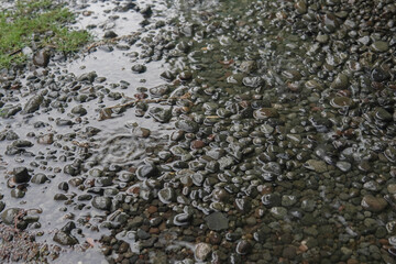 Close-up view of rain water pooling over dark-colored river rocks and pebbles. Small ripples are visible in the water's surface