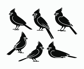 Fototapeta premium Elegant Black Cardinal Bird Silhouettes Vector Template