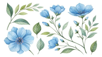 Fototapeta premium Watercolor blue Flower and leaf