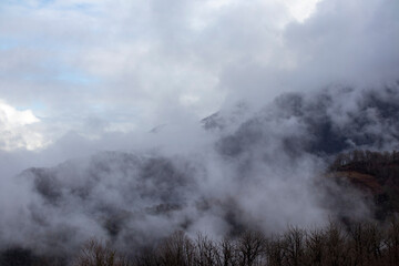 A foggy mountain with clouds and trees in the foreground