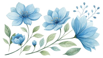 Obraz premium Watercolor blue Flower and leaf
