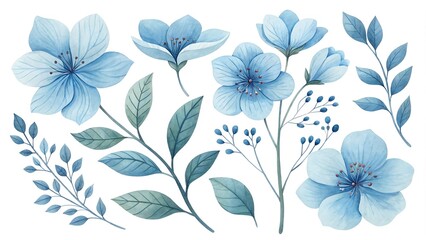 Fototapeta premium Watercolor blue Flower and leaf