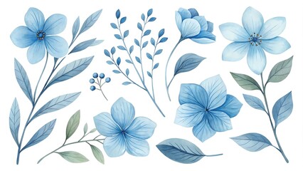Fototapeta premium Watercolor blue Flower and leaf