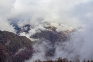 A beautiful mountain is covered in dense clouds, with trees in the foreground