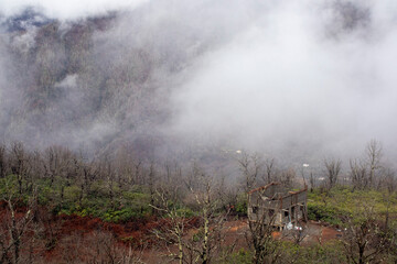 A house in a forest with a fogcovered mountain in the background