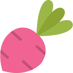 Beetroot Fruits Vector