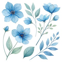 Fototapeta premium Watercolor blue Flower and leaf