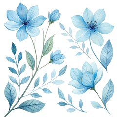 Fototapeta premium Watercolor blue Flower and leaf