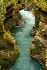 A Serene River Canyon That Is Surrounded by a Beautiful, Lush Greenery In Nature