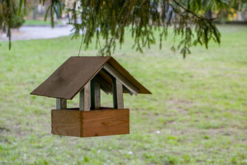 Wooden bird feeder. A bird feeder hangs on a spruce branch in the park. The blurred background emphasizes the natural environment, creating a calm and inviting atmosphere. Caring for wildlife.