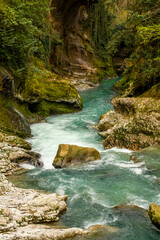 A Serene River Canyon That Is Surrounded by a Beautiful, Lush Greenery In Nature