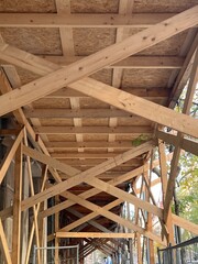 Beams and a covering