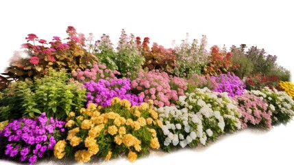 Obraz premium Vibrant Flower Garden Panorama: A Colorful Array of Blossoms