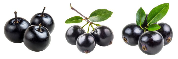 Set of Black ripe Syzygium cumini fruits Dark black java plum isolated on a transparent background