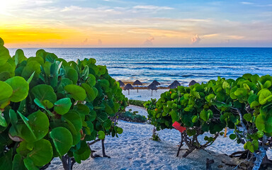 Caribbean Beach Playa Delfines with amazing sunrise in Cancun Mexico.