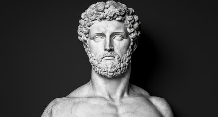 Obraz premium Dramatic black and white portrait of a classical sculpture