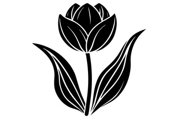 Creative Tulip Silhouette Art on White Background