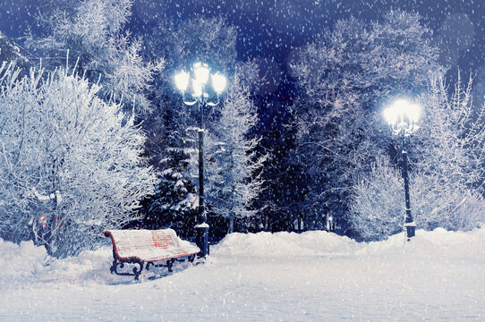 Winter night landscape scene of snow covered bench among snowy winter trees and shining night lights