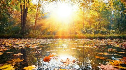 Obraz premium Serene Autumn Landscape with Sunlight Radiating Through Colorful Foliage and Reflections on a Calm Pond Surrounded by Vibrant Trees and Fallen Leaves