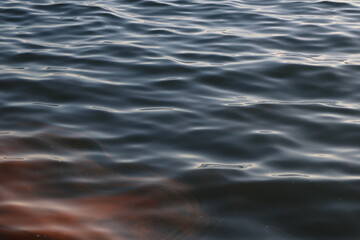 Abstract Image of Polluted Water Surface with Oily Patterns