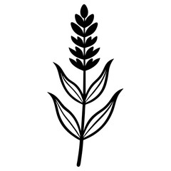Fototapeta premium Lavender Flower with Leaf Beautiful Floral Design for Print