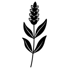 Lavender Flower with Leaf Beautiful Floral Design for Print