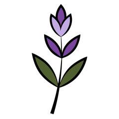 Lavender Flower with Leaf Beautiful Floral Design for Print