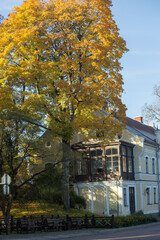 Golden autumn in the ancient town of Kuldiga, Latvia. High quality photo