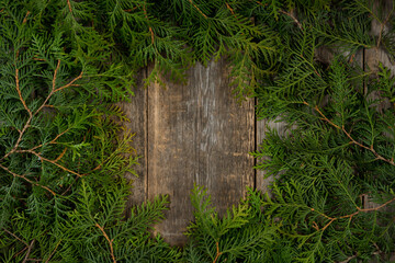Green thuja branches for christmas decoration. Background and texture. Shot from above.
