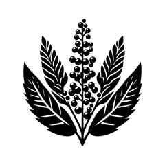 Fototapeta premium Simple Vector Icon of a Ecuadorian Quinoa – Logo Design Illustration