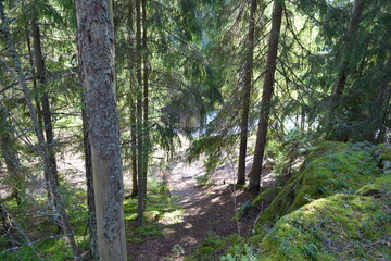 Nuuksio National Park