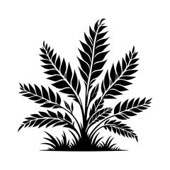 Fototapeta premium Simple Vector Icon of a Galápagos Plant Species – Logo Design Illustration
