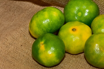 agricultural products. photos of various fruits