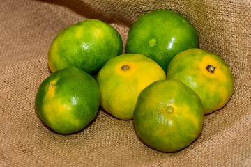 agricultural products. photos of various fruits