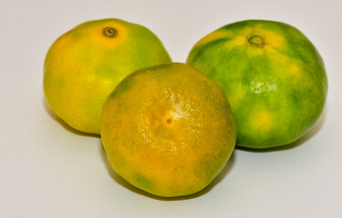 agricultural products. photos of various fruits
