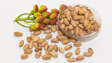 photos of fresh and ripe pistachios taken in the studio environment.