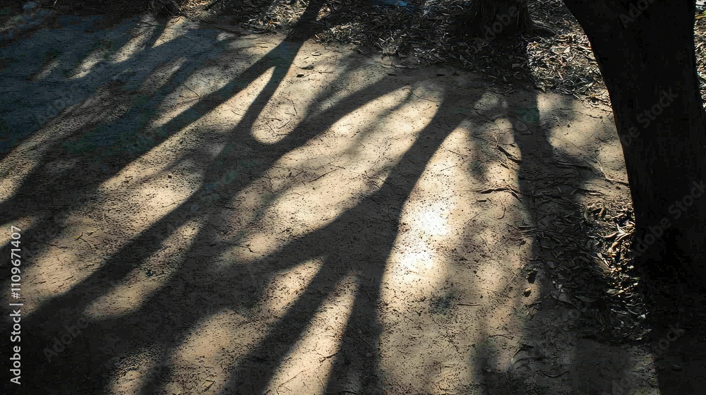 Poster Intriguing Patterns of Shadows Cast by Trees on a Sunlit Ground Creating a Natural Artistic Display of Light and Darkness in a Serene Outdoor Environment