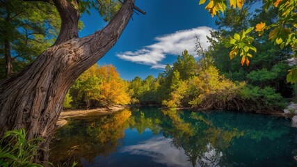 Paisaje de otoño con río tranquilo y hojas amarillas y naranjas con cielo azul 