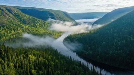 Obraz premium Serene River Flowing Through Lush Green Valley Surrounded by Misty Mountains Under a Bright Sky in a Remote Natural Landscape