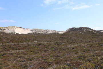 Blick auf die Küstenlandschaft bei List auf der Nordfriesischen Insel Sylt
