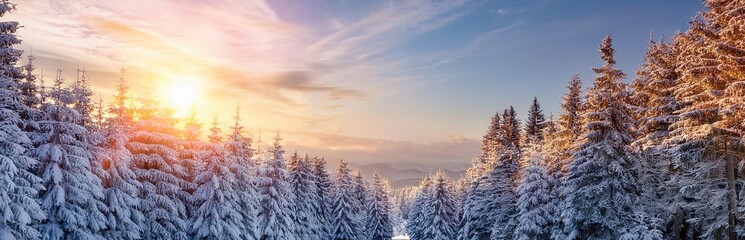 Golden Hour in a Winter Wonderland:  A panoramic vista of snow-dusted fir trees bathed in the ethereal glow of a winter sunrise, the serene landscape capturing the magic of a crisp, frosty morning. 