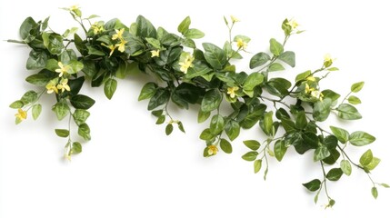 Lush Greenery with Yellow Flowers on Isolated White Background for Decoration and Design Use in Various Creative Projects
