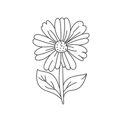 Hand-drawn flower icon, Vector illustration, Outlines black wildflowers, Botanical design. perfect for branding or symbol design.	