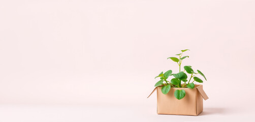 A small green plant emerges from a cardboard box set against a soft light pink backdrop, symbolizing growth and fresh starts in a minimalist setting
