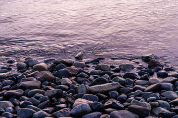 Tranquil Sunrise at Vancouver Island's Rocky Shoreline in Canada