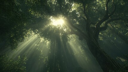 Sunlight Filters Through a Dense Forest Canopy, Revealing Intricate Patterns of Leaves