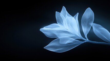 Digital art piece that appears to be a close-up of a single leaf. the leaf is in the center of the image, with its petals spread out in a fan-like shape.