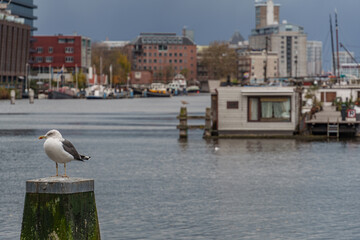 Amsterdam in den Niederlanden