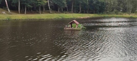 Domek dla kaczek na stawie.