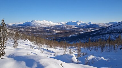 Snowy Mountain Range with a Forest Valley Below